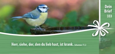 Titelseite: Dein Brief 333