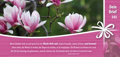 Titelseite: Dein Brief 343