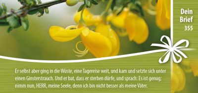 Titelseite: Dein Brief 355