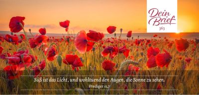 Titelseite: Dein Brief 363