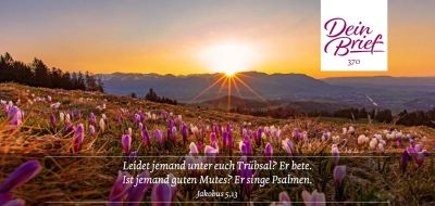 Titelseite: Dein Brief 370