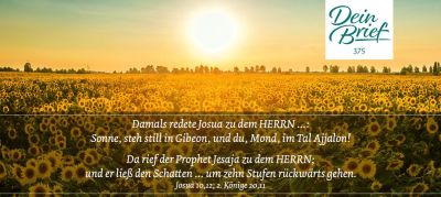Titelseite: Dein Brief 375