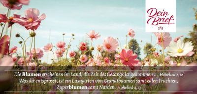 Titelseite: Dein Brief 383