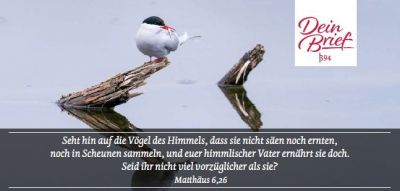 Titelseite: Dein Brief 394